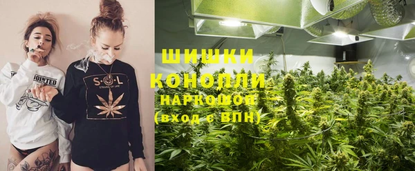 MESCALINE Аркадак
