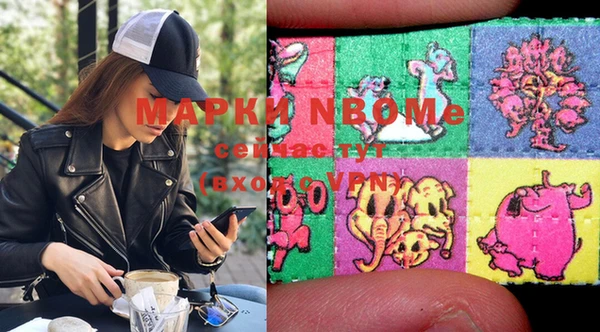 индика Алзамай